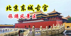 啊,嗯用力插,要射了男gay啪啪视频中国北京-东城古宫旅游风景区
